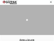 Tablet Screenshot of gizpak.com